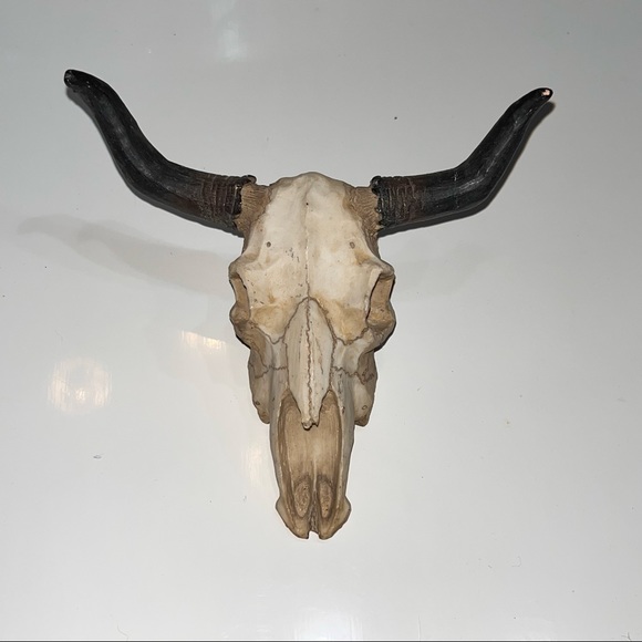 Western decor long horns paper weight DECOR looks great on any Shelf - Picture 4 of 5